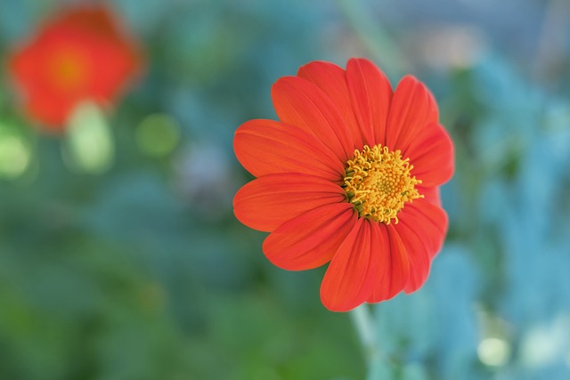 而他的成就 而他的成就