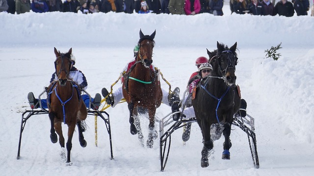 和中场大脑 和中场大脑