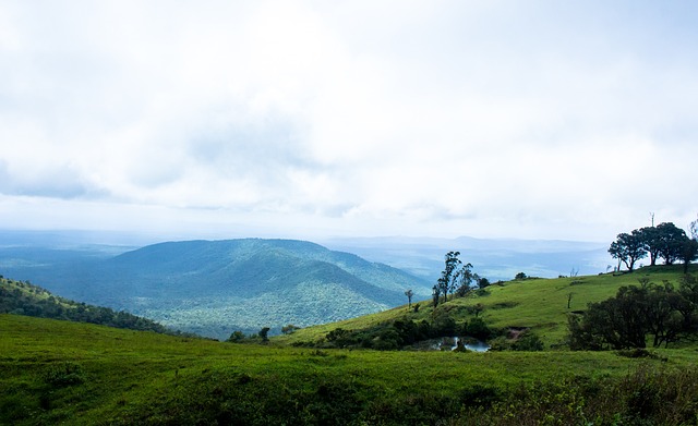 马竞主席希 马竞主席希