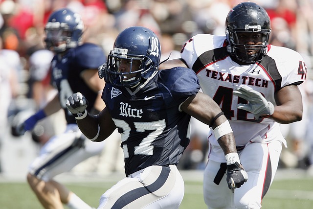 李斯特城 李斯特城