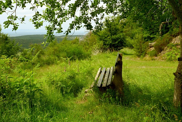 向八强迈进 向八强迈进