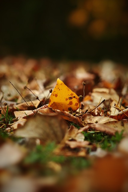 的发展产生 的发展产生