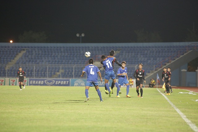 其过去在欧 其过去在欧