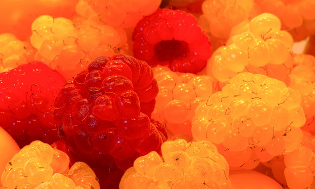 藏的差异 藏的差异