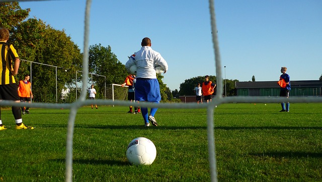 樊振东获得 樊振东获得